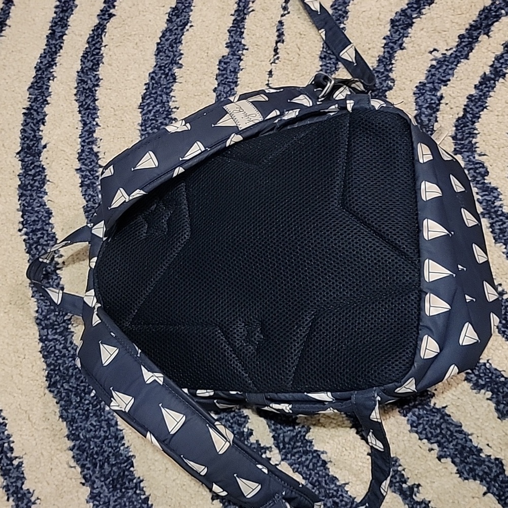 Jujube - Picture 4 of 6